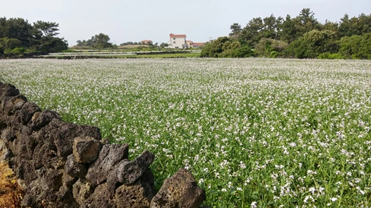 20160424_160031_HDR_copy.jpg?type=w773