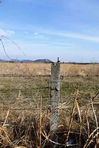 P1060433.jpg?type=w773