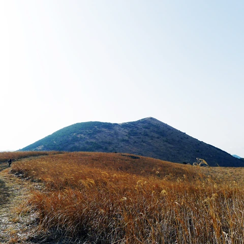 P1000189.jpg?type=w773