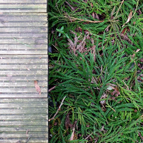 P1020754.jpg?type=w773