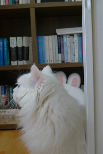 P1100633.jpg?type=w773