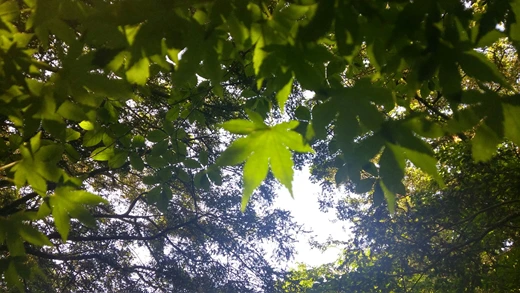 20160518_150330_HDR.jpg?type=w773