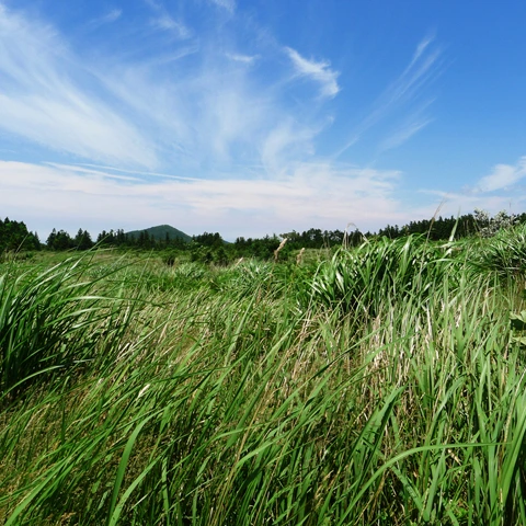 P1040936.jpg?type=w773