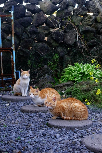 P1110462.jpg?type=w773