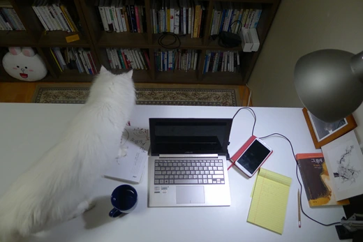 P1100772.jpg?type=w773