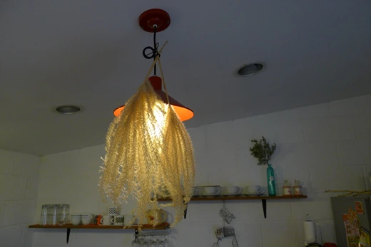 P1100846.jpg?type=w773