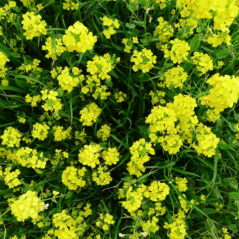 P1010016.jpg?type=w773