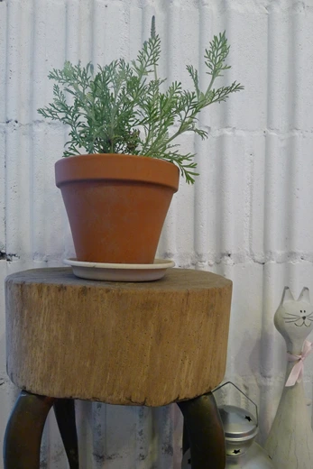 P1100878.jpg?type=w773