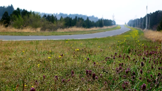 P1040507.jpg?type=w773