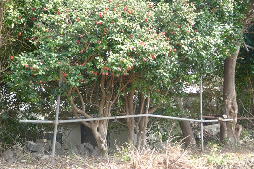 P1060859.jpg?type=w773