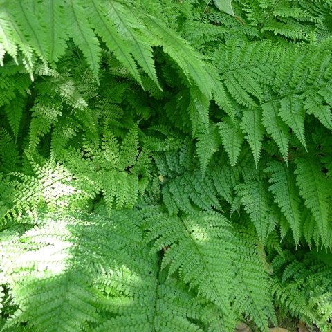 P1040979.jpg?type=w773