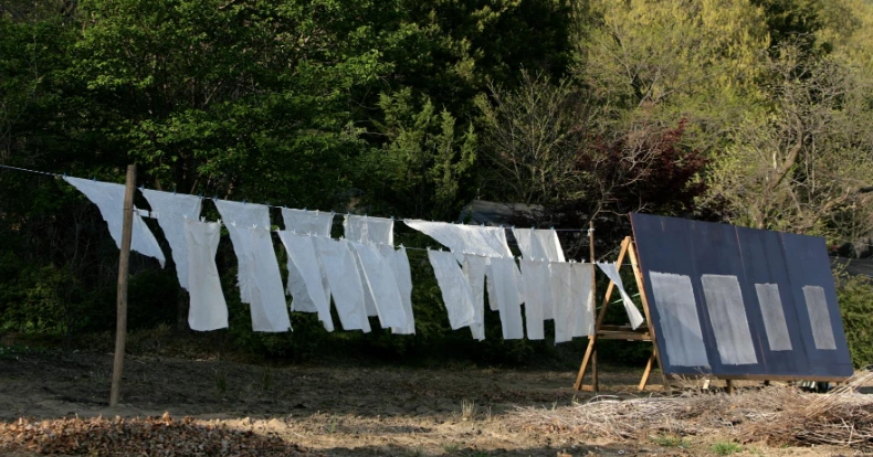 %ED%95%9C%EC%A7%80_%EA%B1%B4%EC%A1%B0.png?type=w1