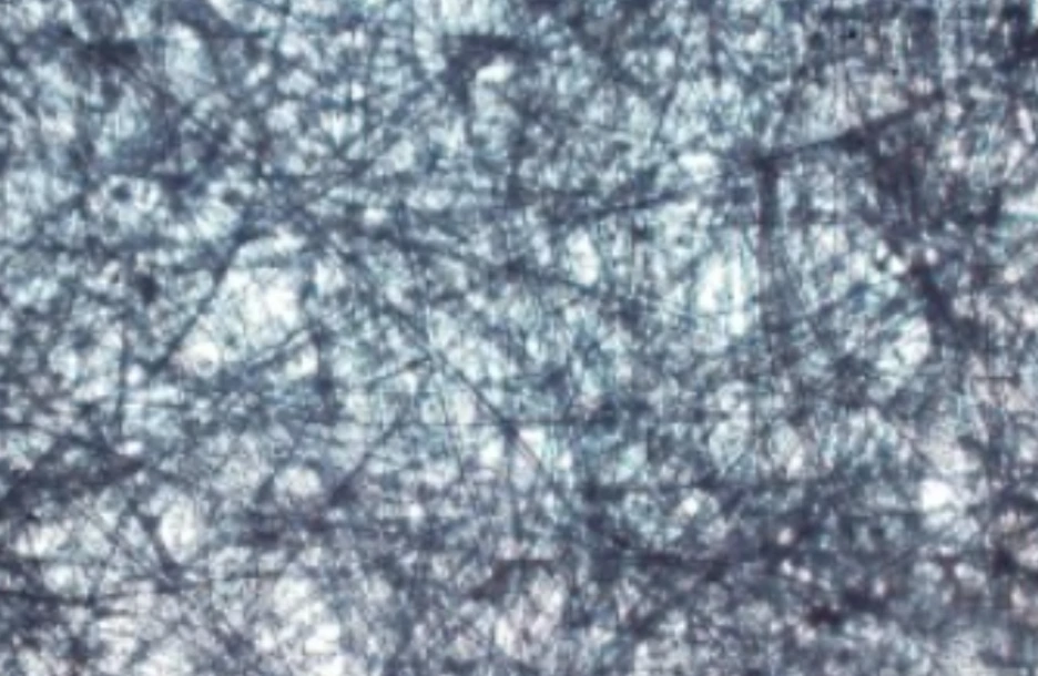 %ED%95%9C%EC%A7%80_%ED%91%9C%EB%A9%B4.png?type=w1