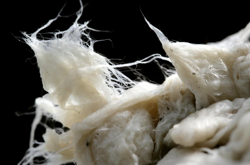 %EC%8A%A4%ED%81%AC%EB%A6%B0%EC%83%B7_2025-06-05_%EC%98%A4%ED%9B%84_3.30.27.png?type=w1