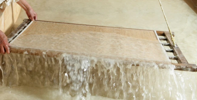 %EB%8C%80%ED%95%9C%EB%AF%BC%EA%B5%AD_%EC%A2%85%EC%9D%B4.png?type=w1