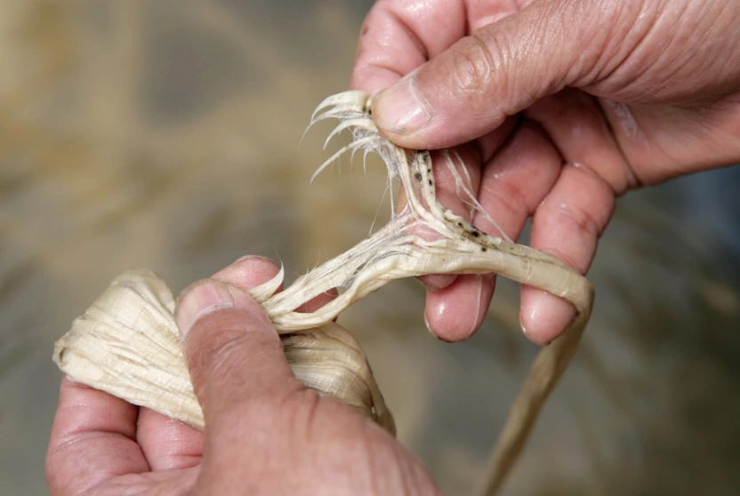 %ED%95%9C%EC%A7%80.png?type=w1