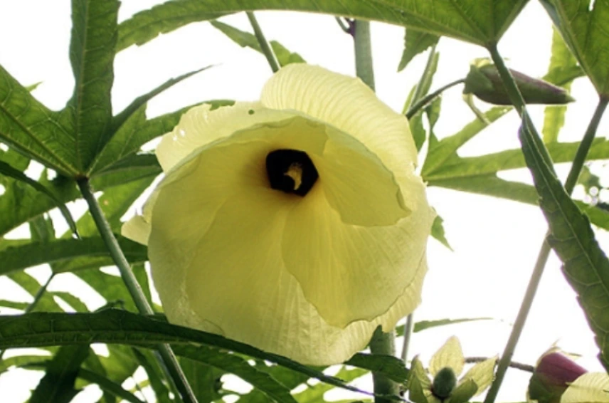 %EB%8B%A5%ED%92%80.png?type=w1