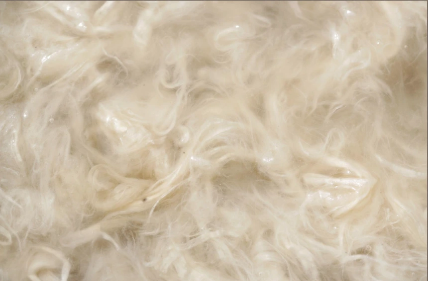 %ED%95%9C%EC%A7%80_%EA%B3%BC%EC%A0%95.png?type=w1