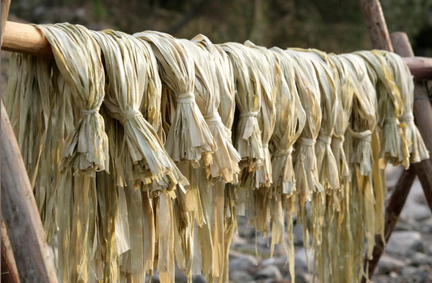 %ED%95%9C%EC%A7%80_%EC%A0%9C%EC%9E%91%EA%B3%BC%EC%A0%95_%EB%8B%A5%EB%82%98%EB%AC%B4.png?type=w1