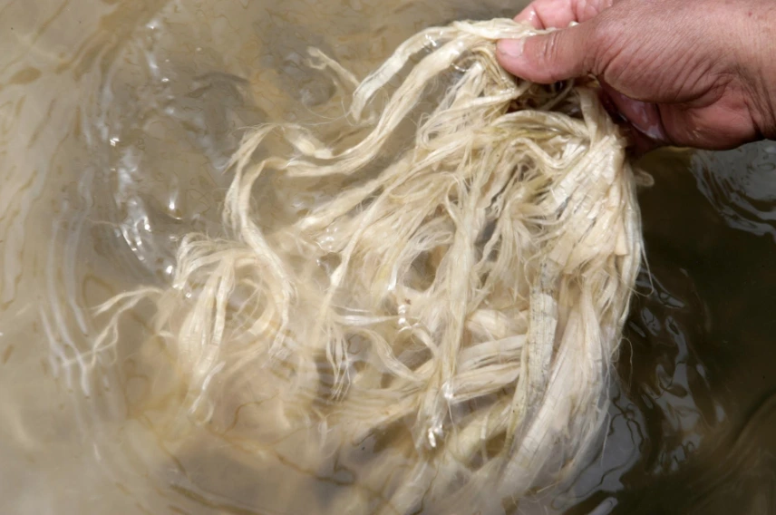 %ED%95%9C%EC%A7%80_%EB%A7%8C%EB%93%9C%EB%8A%94_%EB%B2%95.png?type=w1