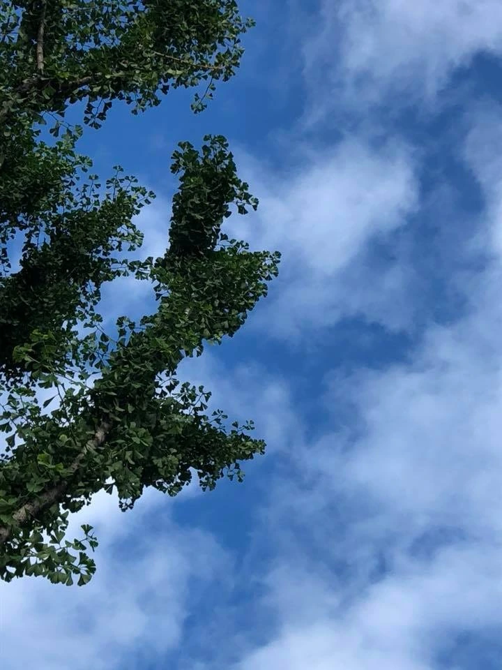 497135779_17906215032118492_5940693203484761513_n.jpg?stp=dst-jpg_e35_tt6&efg=eyJ2ZW5jb2RlX3RhZyI6InRocmVhZHMuRkVFRC5pbWFnZV91cmxnZW4uNzIweDk2MC5zZHIuZjc1NzYxLmRlZmF1bHRfaW1hZ2UifQ&_nc_ht=scontent-ssn1-1.cdninstagram.com&_nc_cat=104&_nc_oc=Q6cZ2QGA2VQJMbisgXU56zKDBjL5SJPnGlm8lFTUQpVTTm0DOVw1Rouoj41mwQZvjhj5MQg&_nc_ohc=Sy24mXVHi9kQ7kNvwEh4R9q&_nc_gid=Bl8tLKcL7kRh-fllcDgl5A&edm=AA3DLpEBAAAA&ccb=7-5&ig_cache_key=MzYzMDQ2MDM1MzIwMjk2NjM4Nw%3D%3D.3-ccb7-5&oh=00_AfLEcoan3IZ-qkzixdqRPVG91xpyUrGqeRK-OnGYpGghLQ&oe=6826F975&_nc_sid=d92198