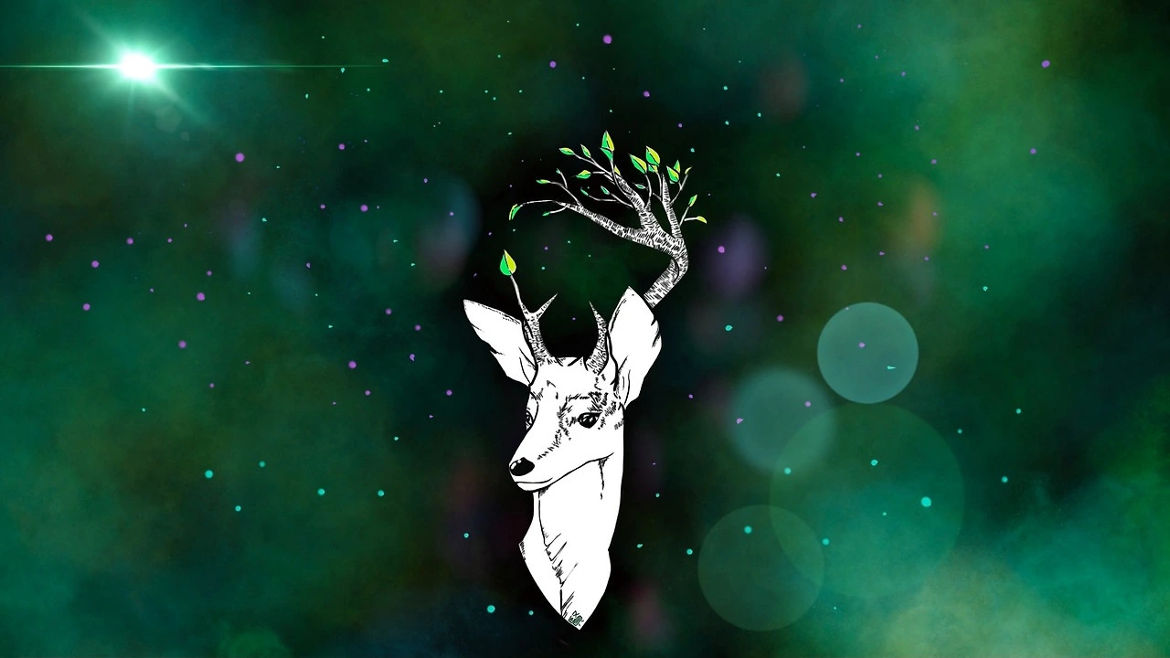 491903170_17905855497118492_1733357579837969979_n.jpg?stp=dst-jpg_e35_tt6&efg=eyJ2ZW5jb2RlX3RhZyI6InRocmVhZHMuRkVFRC5pbWFnZV91cmxnZW4uMTI4MHg3MjAuc2RyLmY3NTc2MS5kZWZhdWx0X2ltYWdlIn0&_nc_ht=scontent-ssn1-1.cdninstagram.com&_nc_cat=104&_nc_oc=Q6cZ2QGdTtO0Lv5lInLTcg381Ed7Lq5hx6vGimMOaLKq7tZJFMo8GJ6ujJSlVqr3lQw8uck&_nc_ohc=RPVNlnyNMtoQ7kNvwFWSqqA&_nc_gid=AZ5F3SQtCbLS3kc6nYD1FQ&edm=AA3DLpEBAAAA&ccb=7-5&ig_cache_key=MzYyODUxMTg0MzI1MTU5ODY5MQ%3D%3D.3-ccb7-5&oh=00_AfK0e9__Z4PxbWqEakIK4spEzUAqT3XeHOFgdOjOtns1gQ&oe=68238869&_nc_sid=d92198