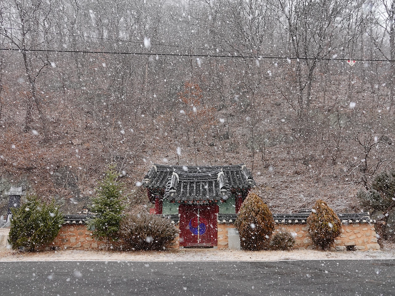 보은 추양정사_기와고르기(220411) (1).JPG