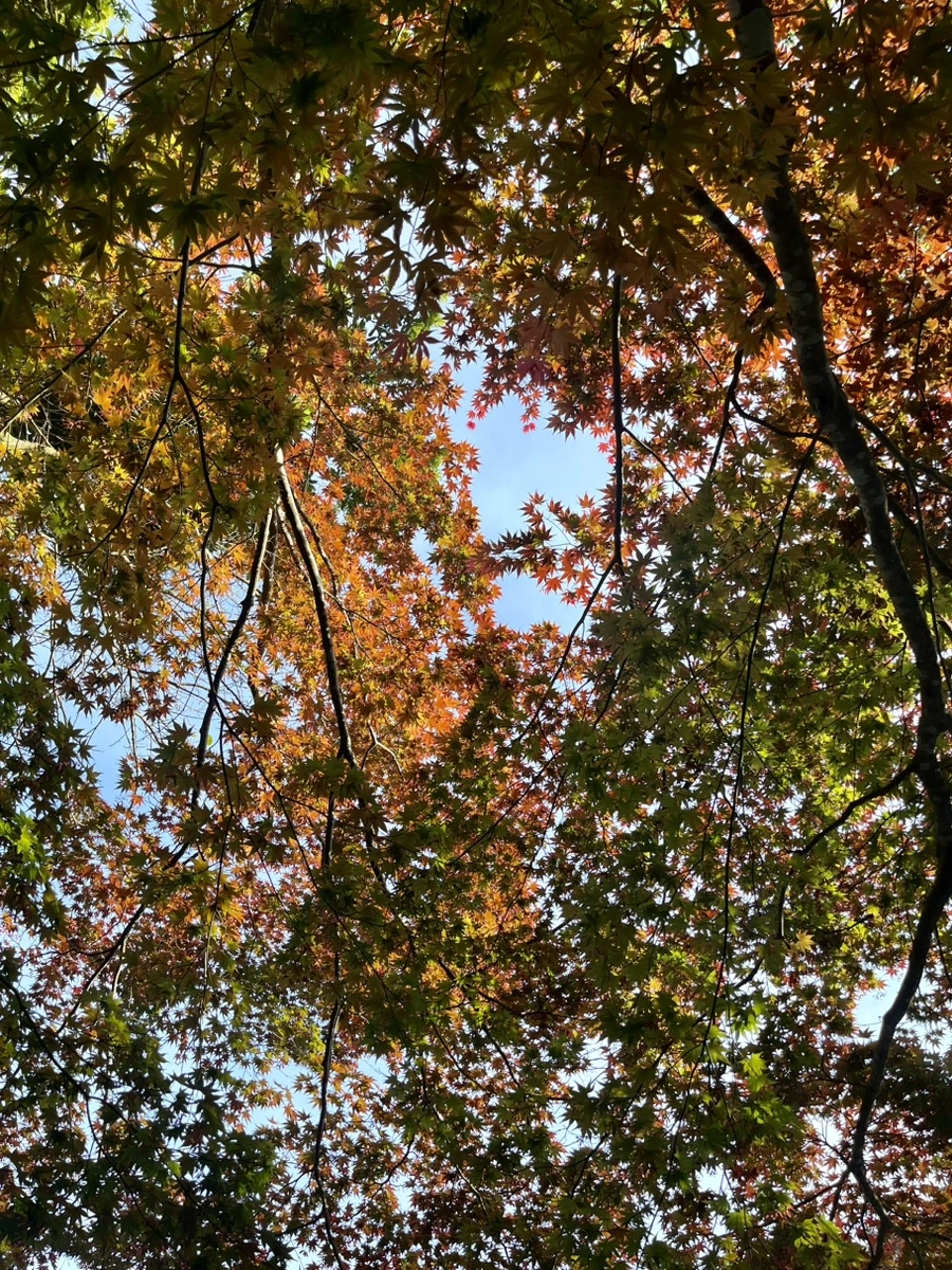 IMG_6628.jpg?type=w1