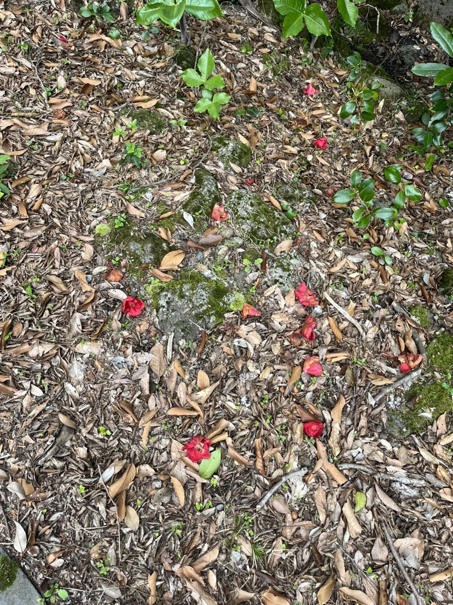 IMG_6695.jpg?type=w1