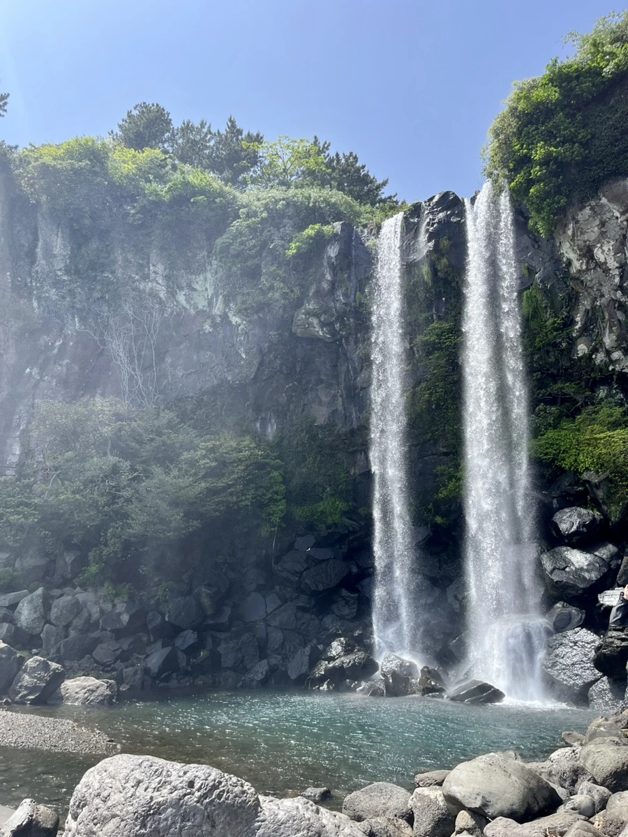 IMG_6563.jpg?type=w1