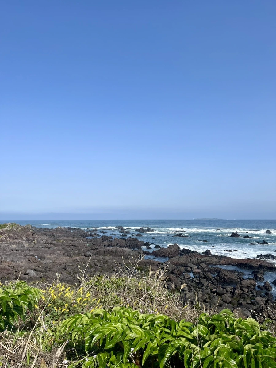 IMG_6540.jpg?type=w1