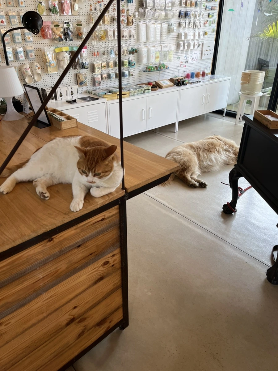 IMG_6046.jpg?type=w1