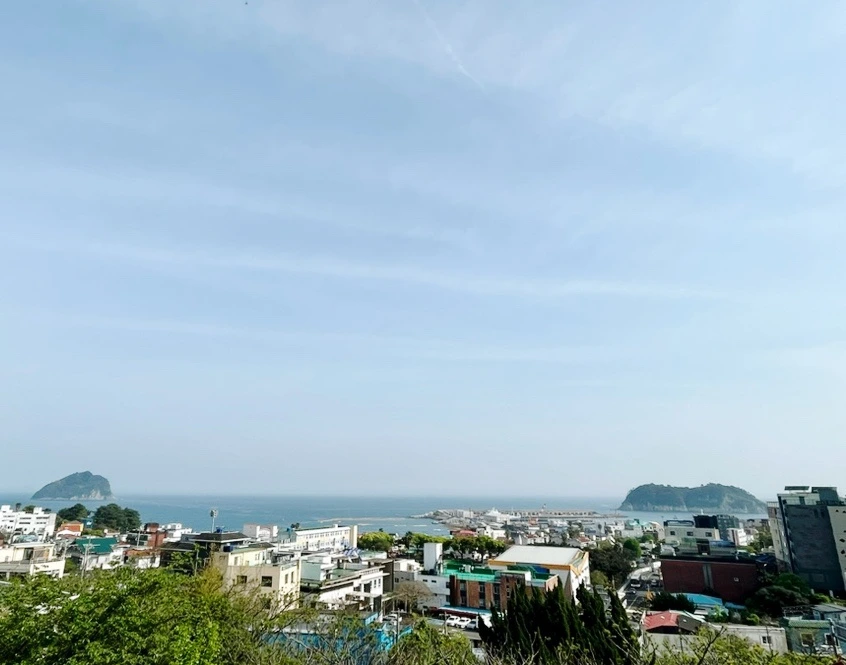 output_3740780651.jpg?type=w1