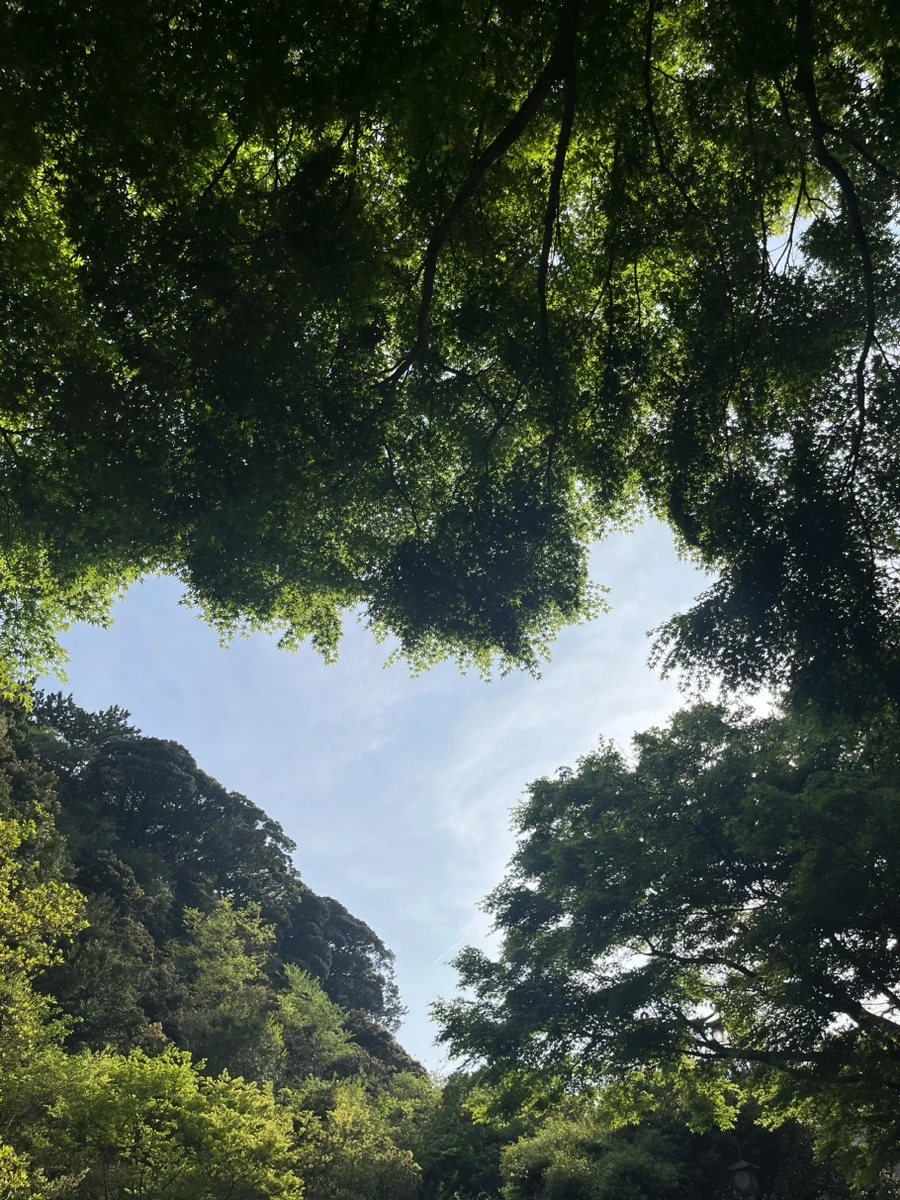 IMG_6625.jpg?type=w1