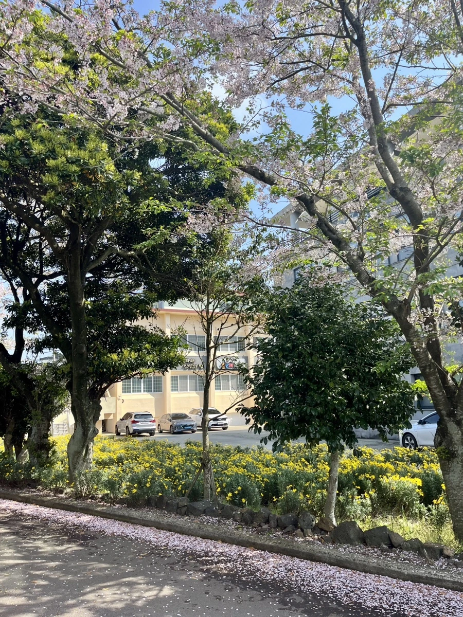 IMG_5956.jpg?type=w1