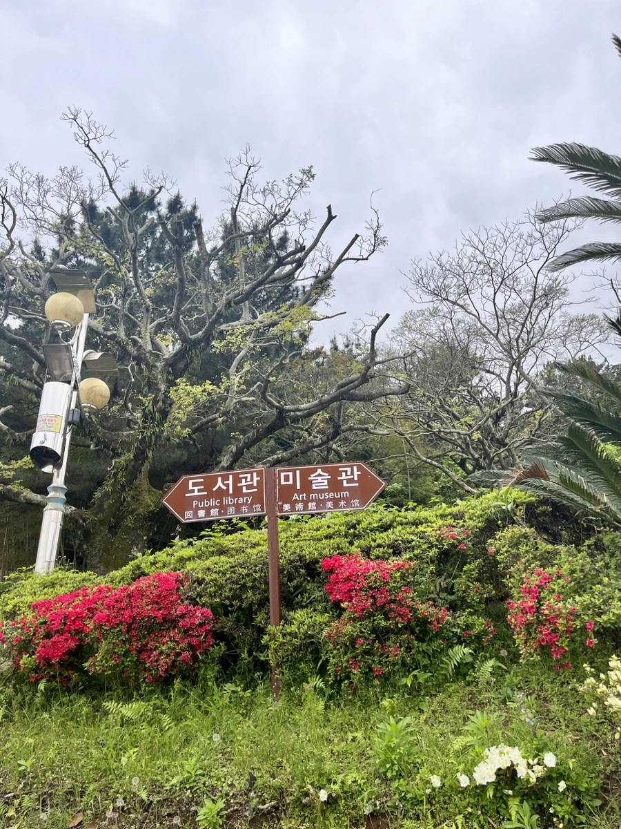 IMG_6713.jpg?type=w1