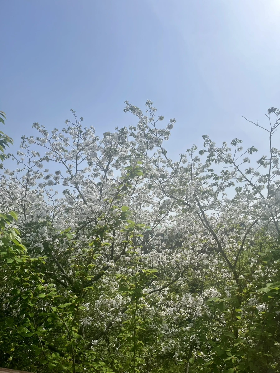 IMG_6586.jpg?type=w1