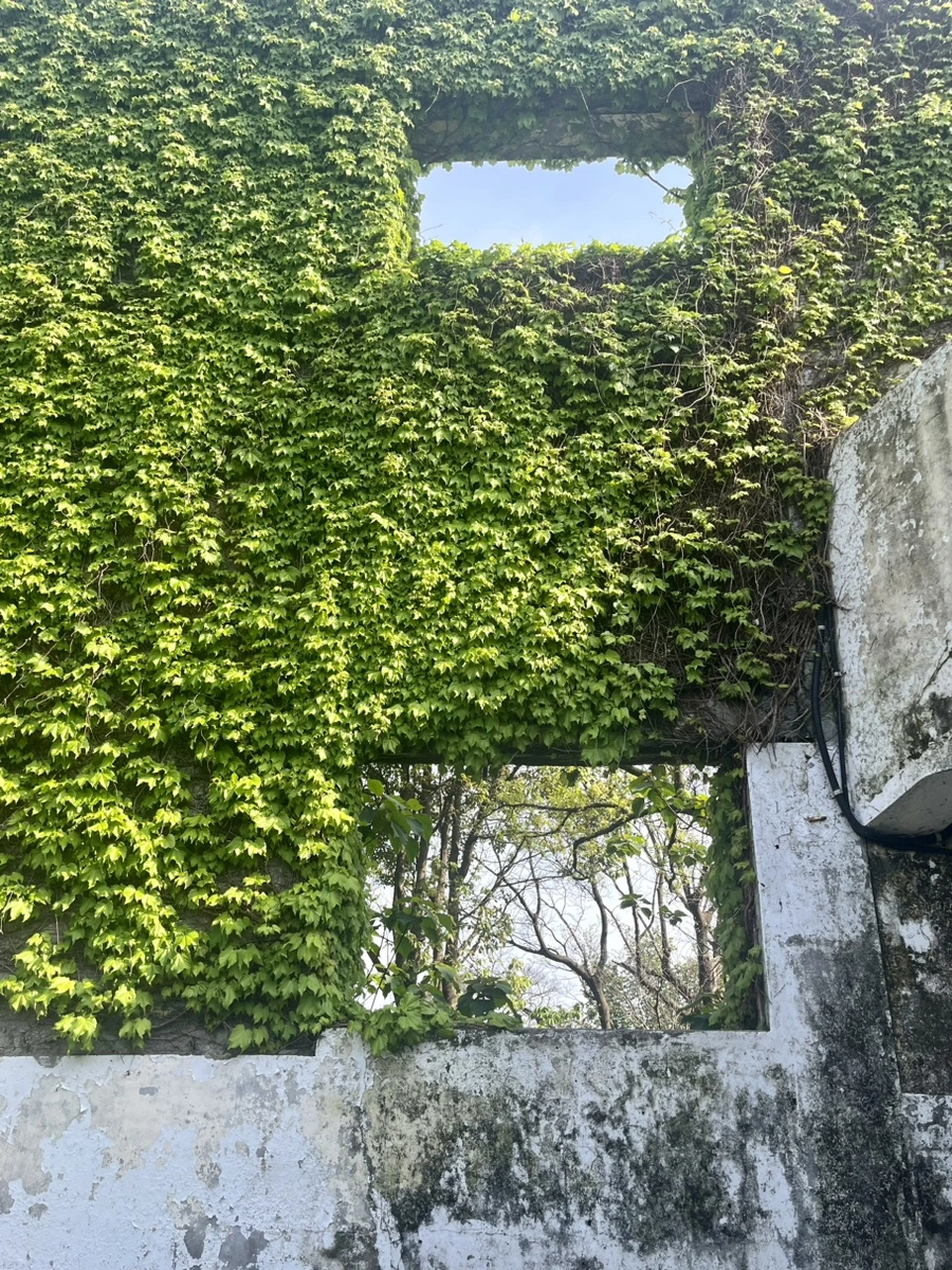 IMG_6606.jpg?type=w1