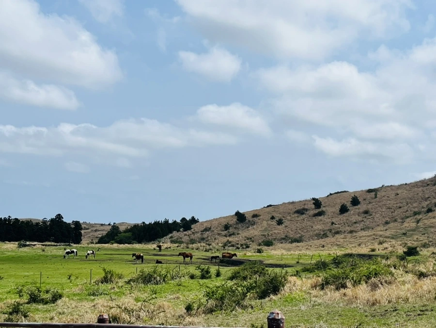 IMG_6087.jpg?type=w1