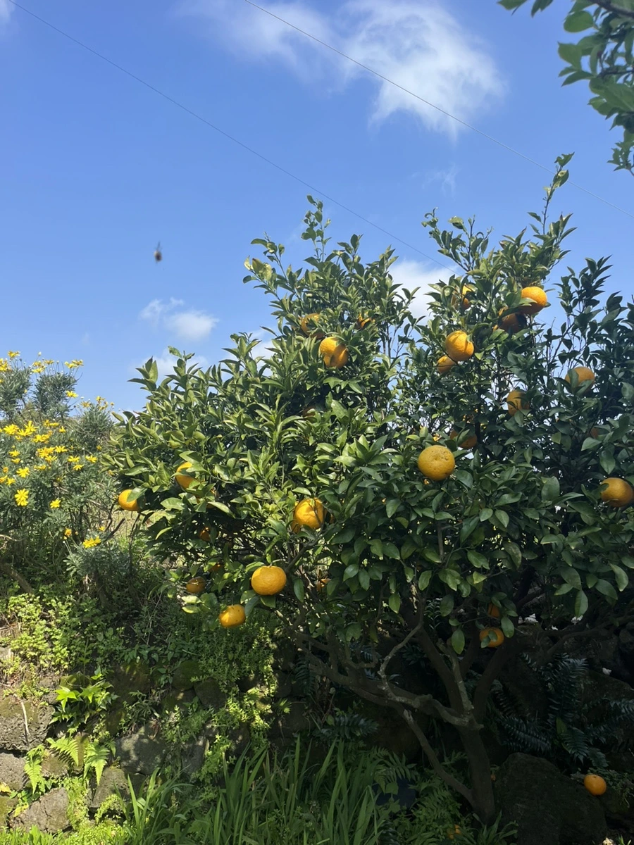 IMG_5958.jpg?type=w1