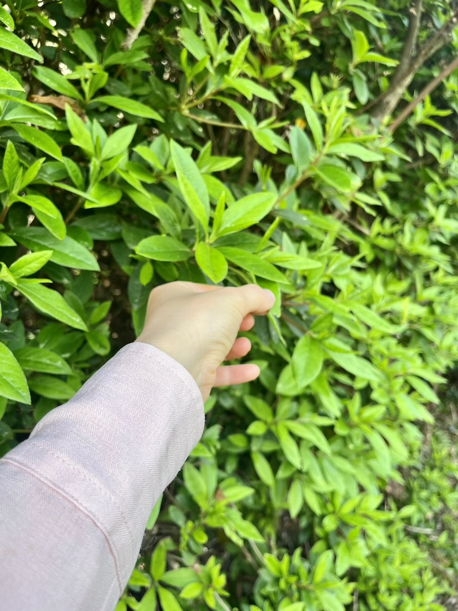 IMG_6759.jpg?type=w1