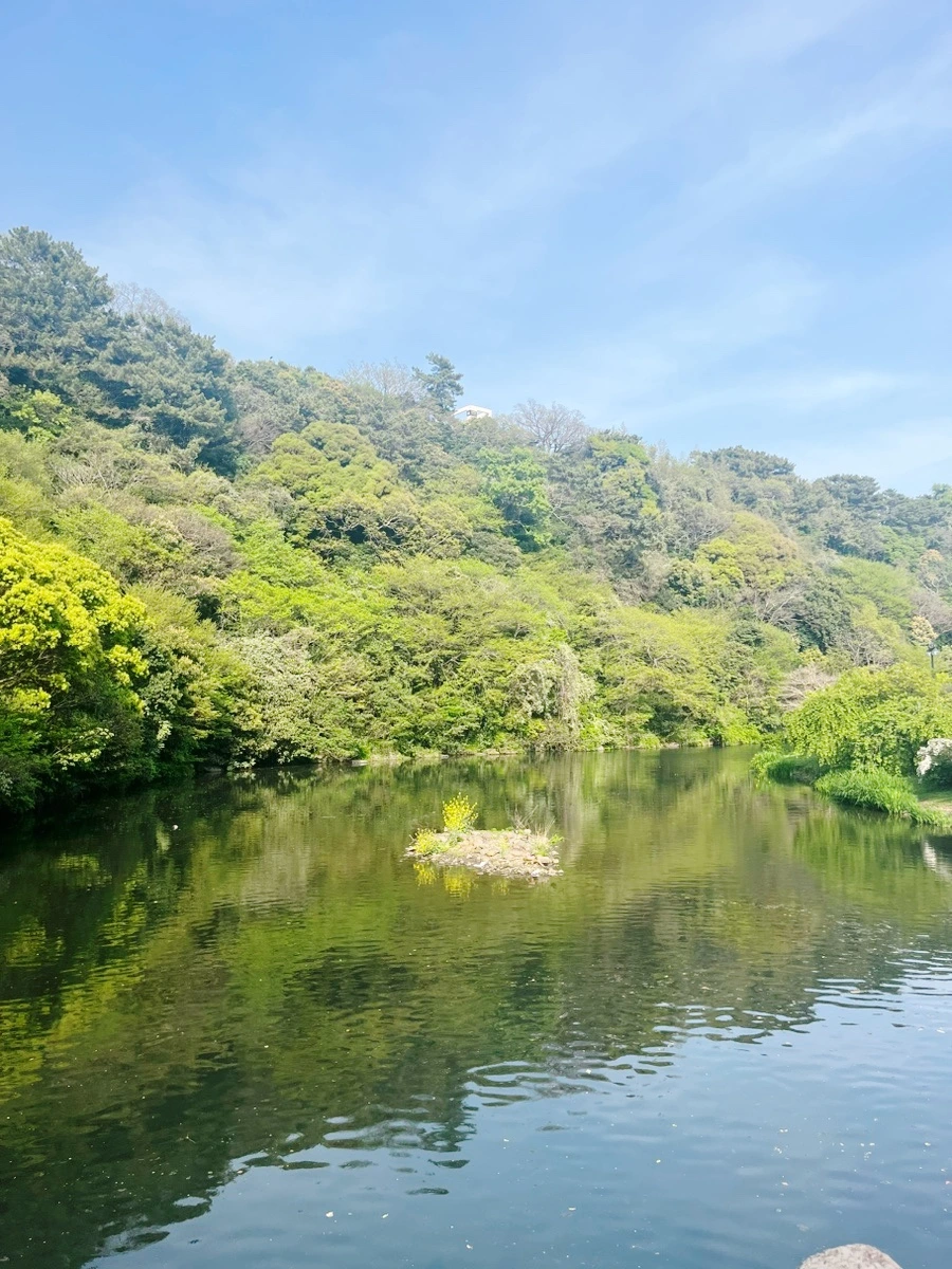 output_821147653.jpg?type=w1