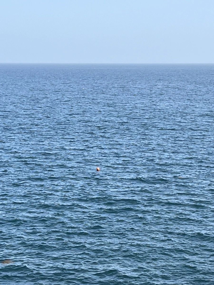 IMG_6753.jpg?type=w1