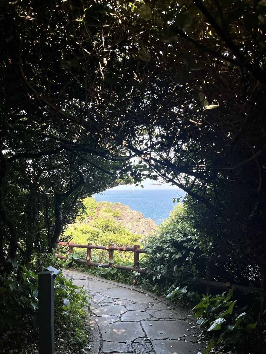 IMG_6747.jpg?type=w1