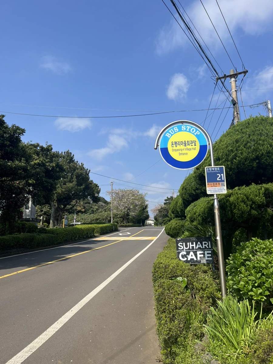 IMG_5957.jpg?type=w1