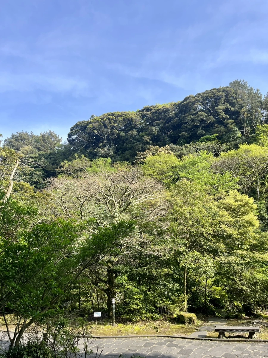 IMG_6627.jpg?type=w1