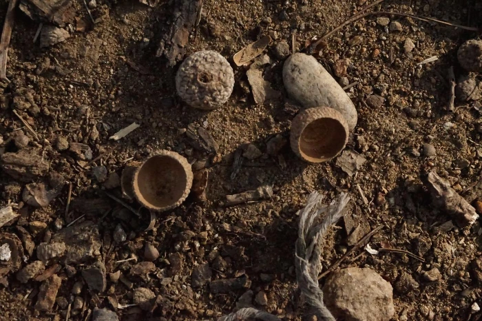 #3점심시간 그 후.JPG