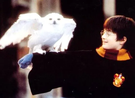 12110210A77A5BE68A2AB7