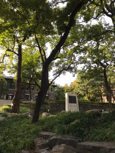 0002288596_005_20201020082056197.jpg?type=w647