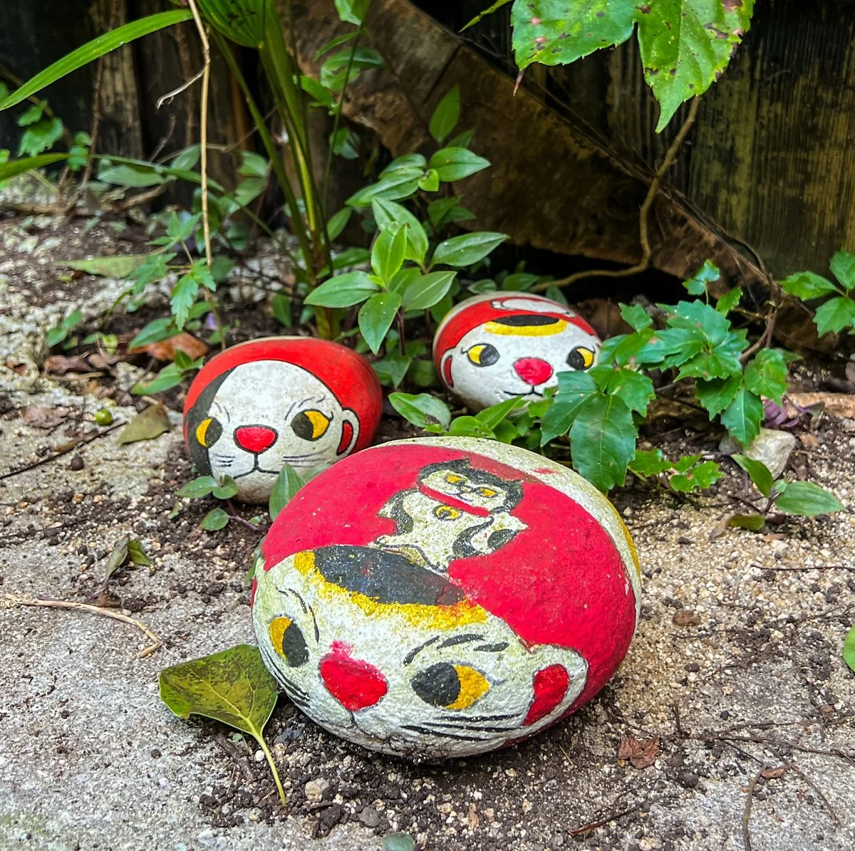 image_7592431300455427.jpg?type=w1200